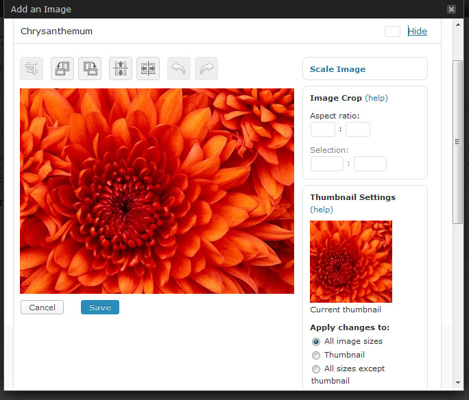 Wordpress 2.9 Image Edit Wordpress 2.9 Image Edit